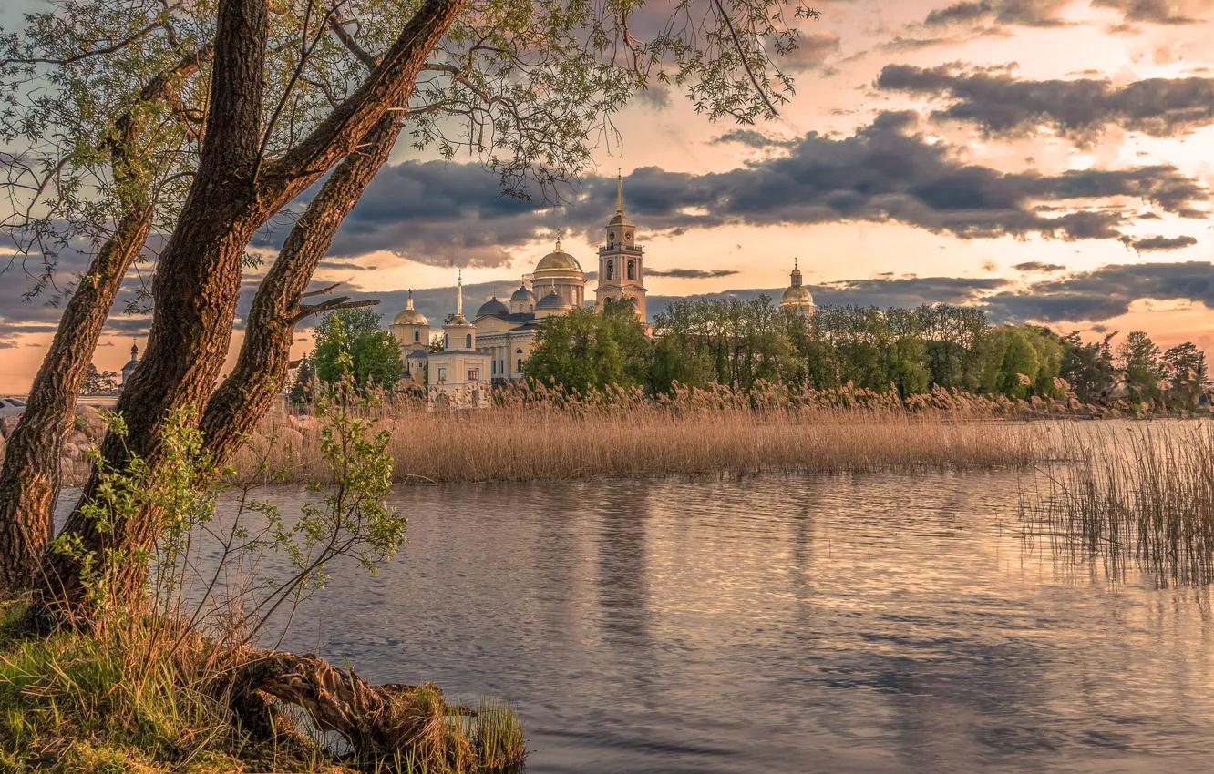 Photo wallpaper trees, landscape, nature, lake, the monastery, Seliger, Nilo-Stolobenskaya Pustyn', Elena Guseva