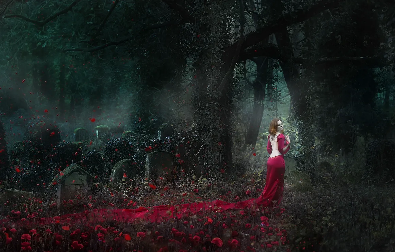 Photo wallpaper girl, Ghost, cemetery, Lady in Red