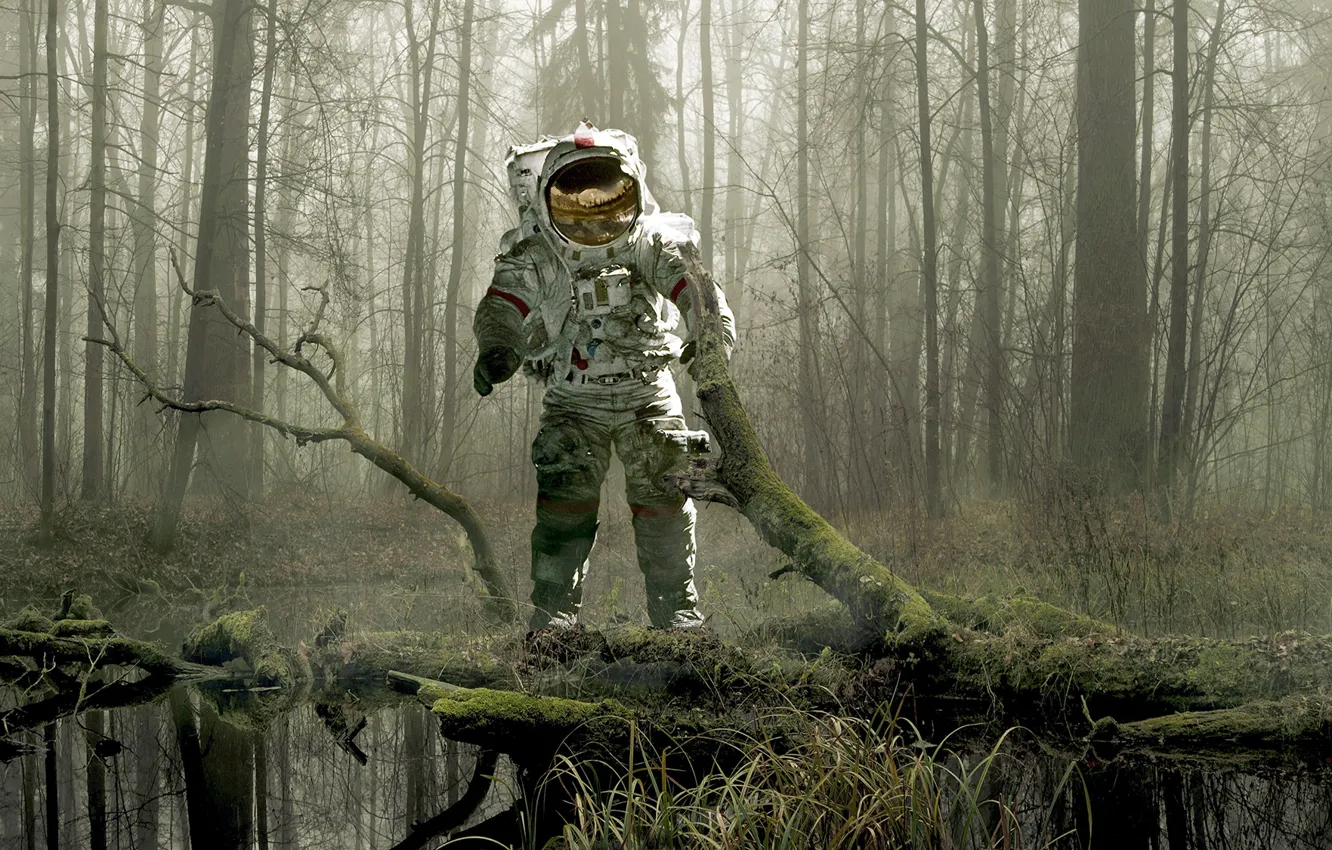 Photo wallpaper forest, trees, fog, swamp, moss, the suit, snag, astronaut