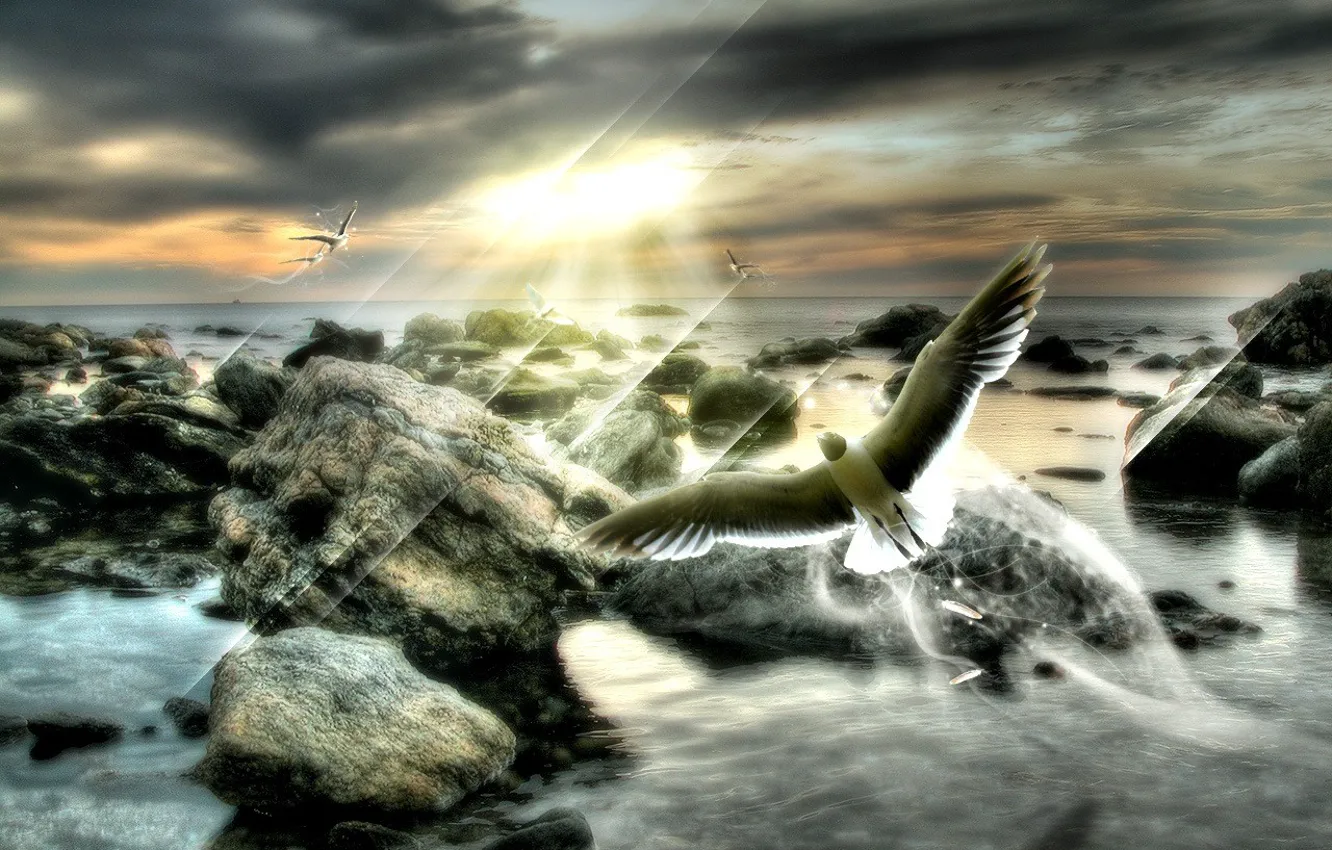 Photo wallpaper dream, rays, flight, overcast, dream, bird