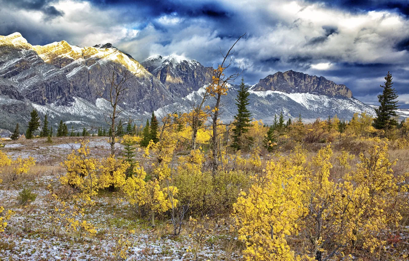 Photo wallpaper autumn, the sky, clouds, snow, trees, landscape, mountains, the bushes