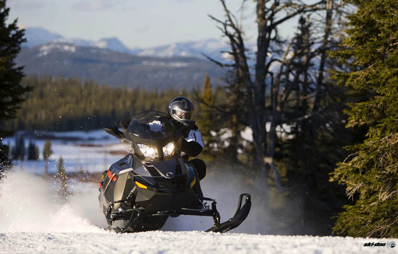 Photo wallpaper forest, snow, trees, mountains, black, snowmobile, snowmobile, ski-doo