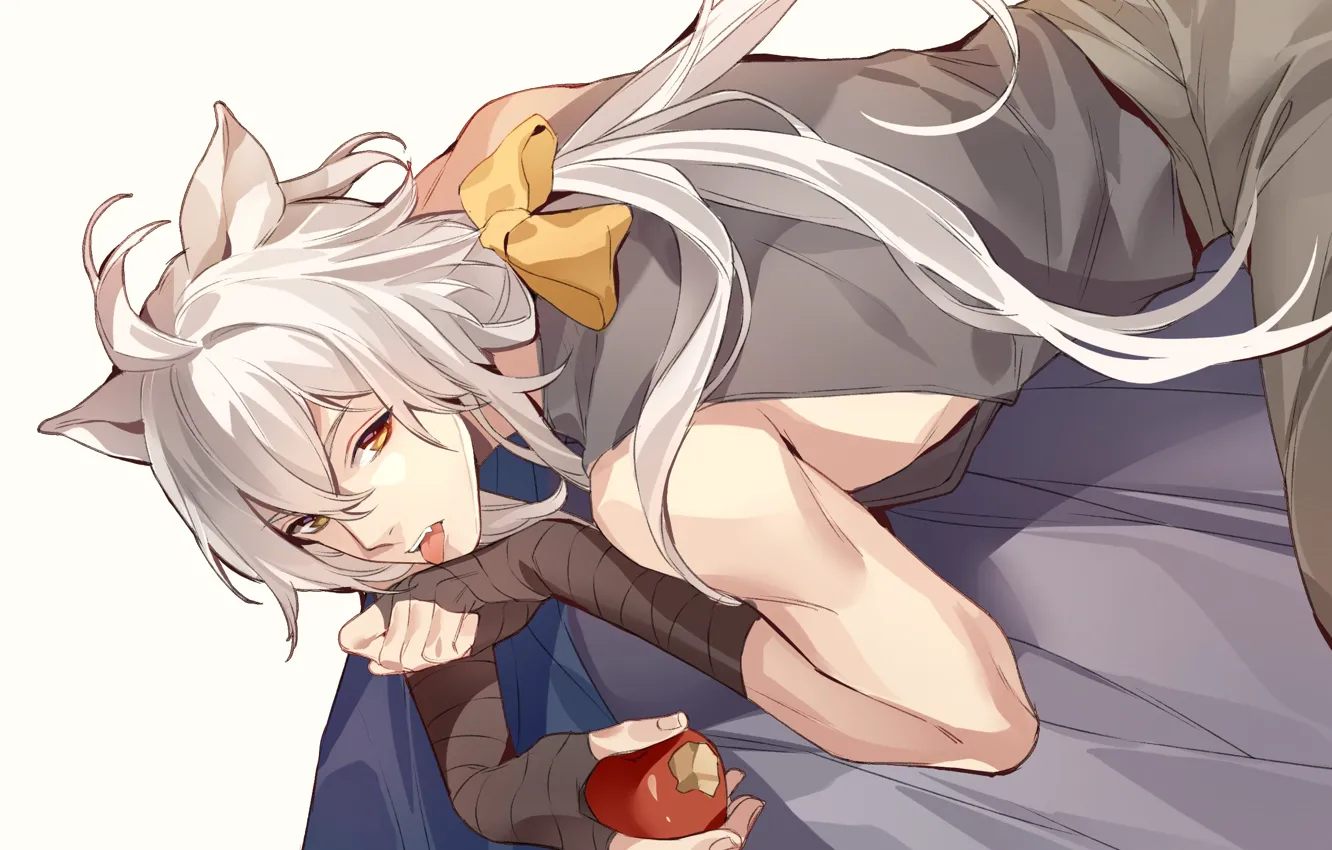 Photo wallpaper apples, cat, guy, Touken Ranbu, Dance of swords