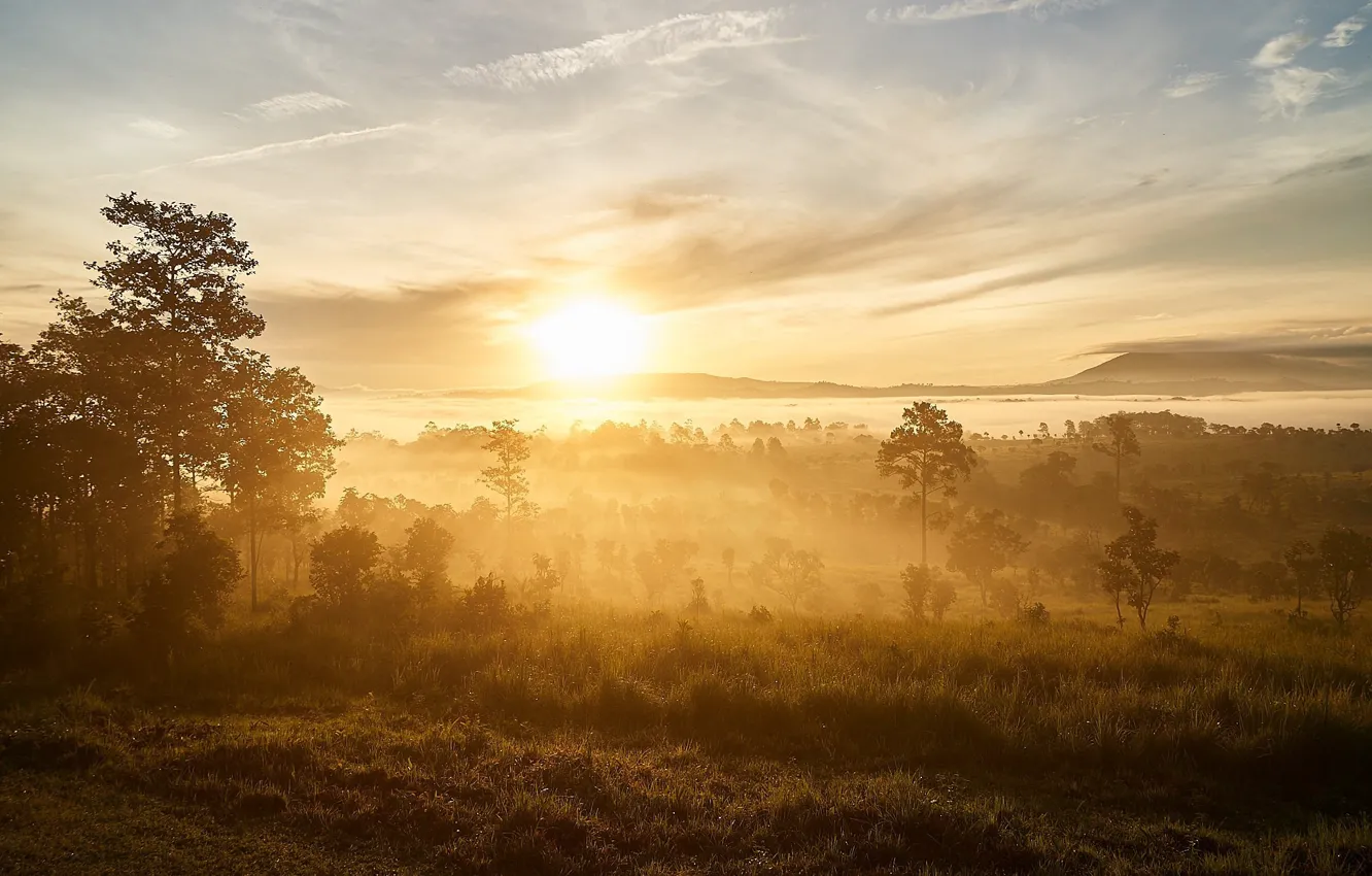 Photo wallpaper the sky, fog, morning