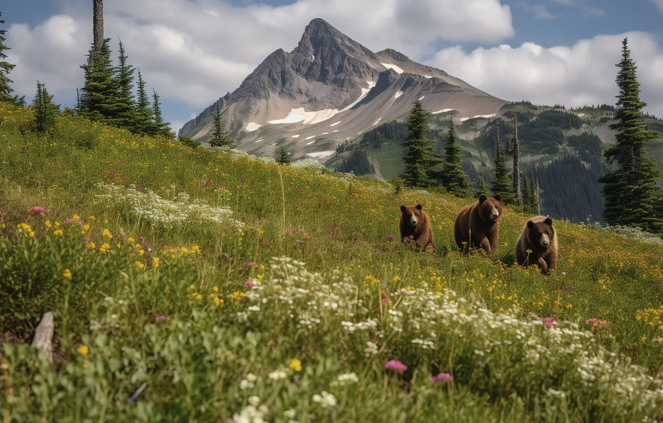 Photo wallpaper forest, sunset, nature, bear, bear, walk, family, bear