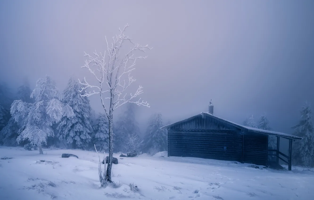 Photo wallpaper winter, snow, fog, house