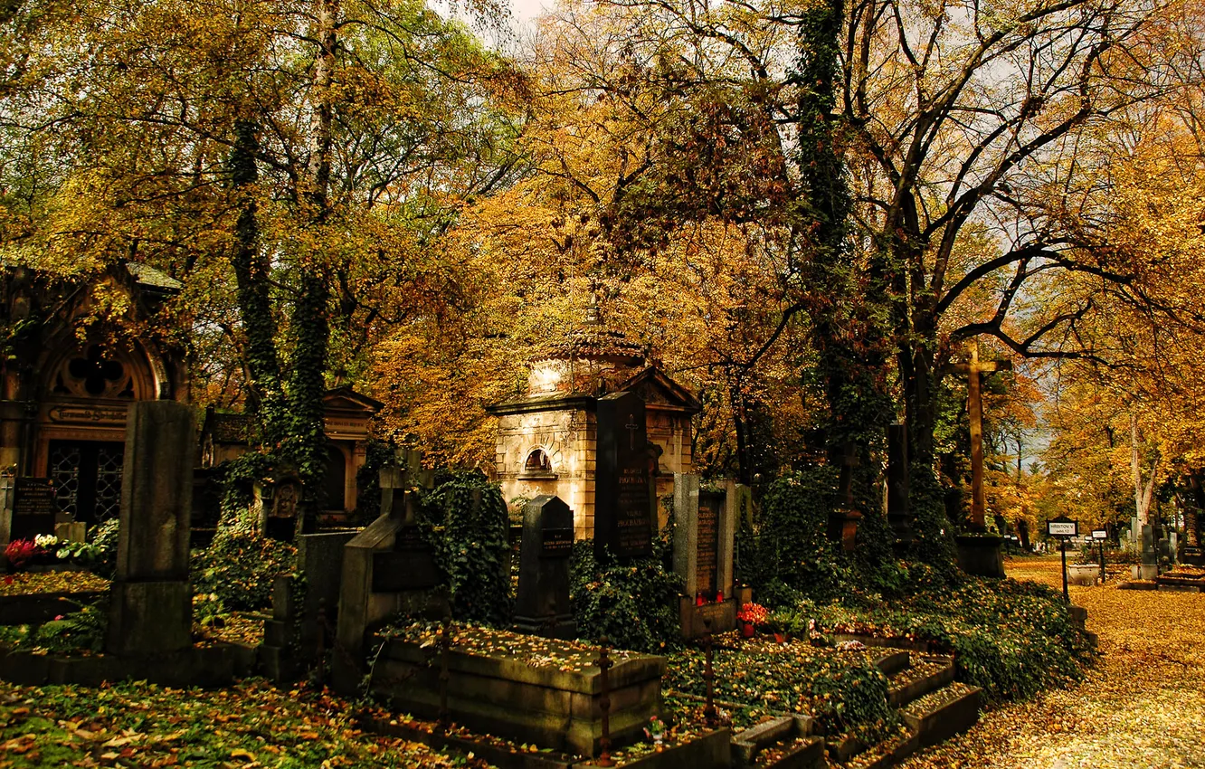 Photo wallpaper autumn, cemetery, tombs, mausoleum, tombstones