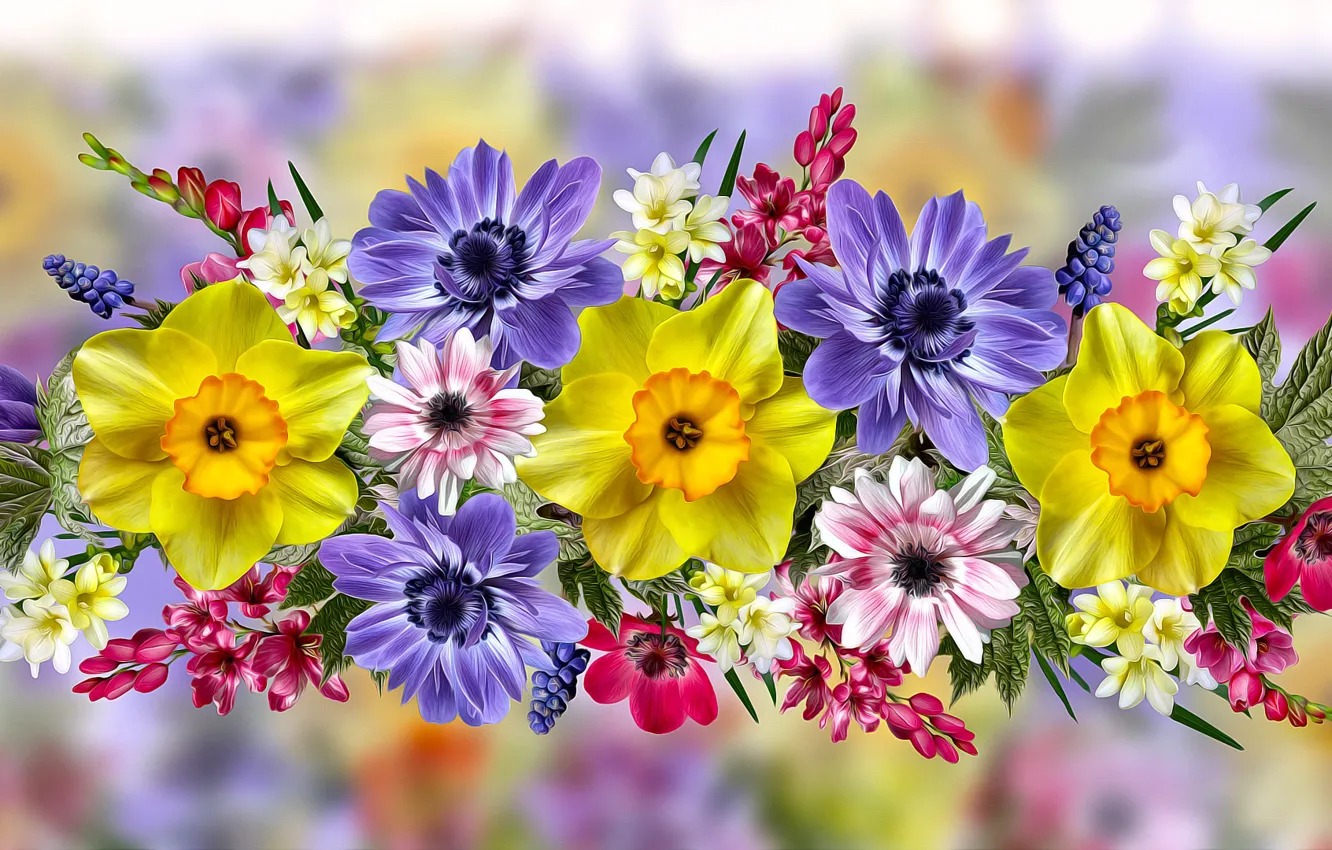 Photo wallpaper Graphics, Daffodils, flowers