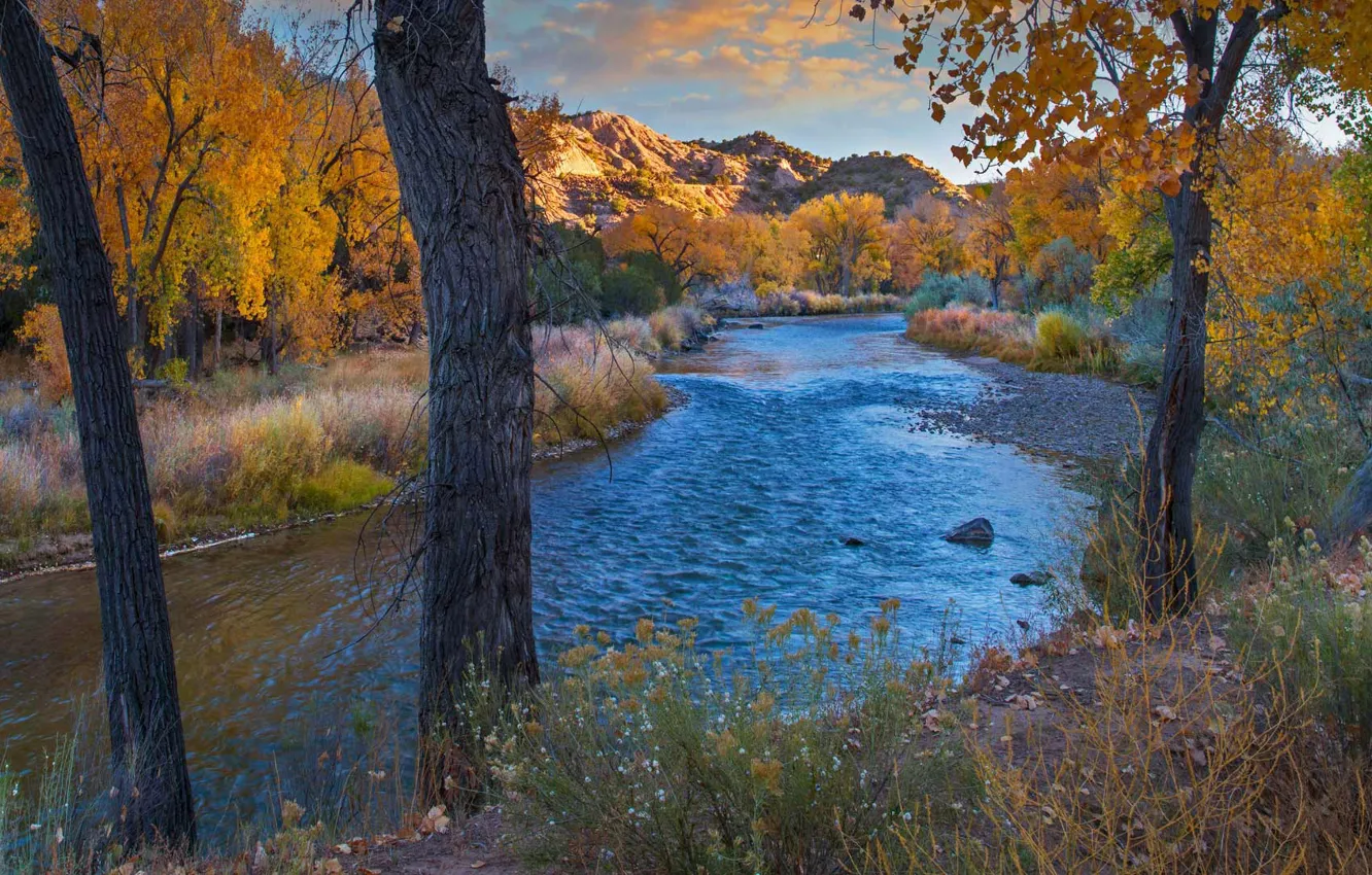 Photo wallpaper autumn, trees, river, USA, New Mexico, Rio Grande