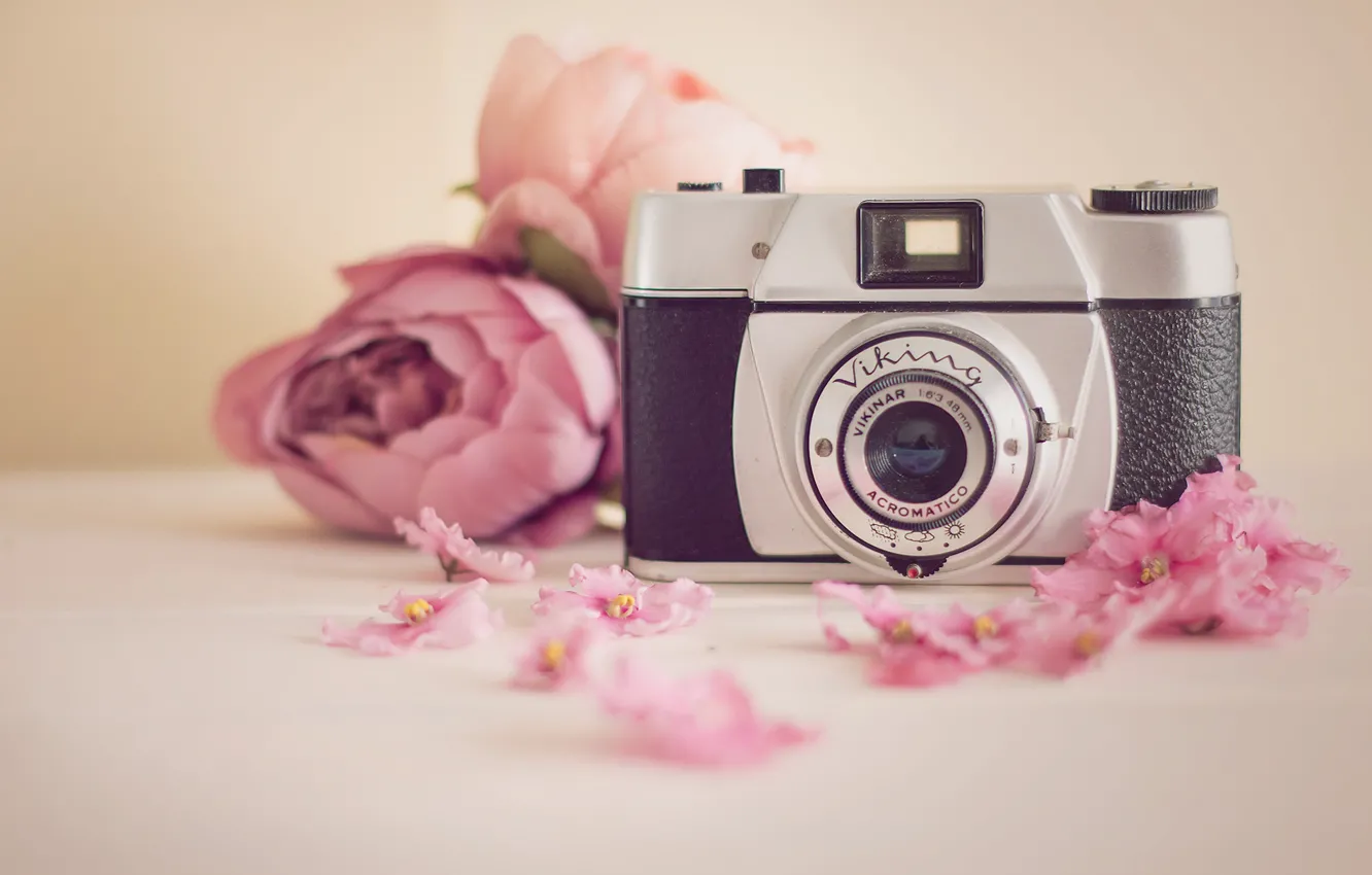 Photo wallpaper flowers, camera, Viking