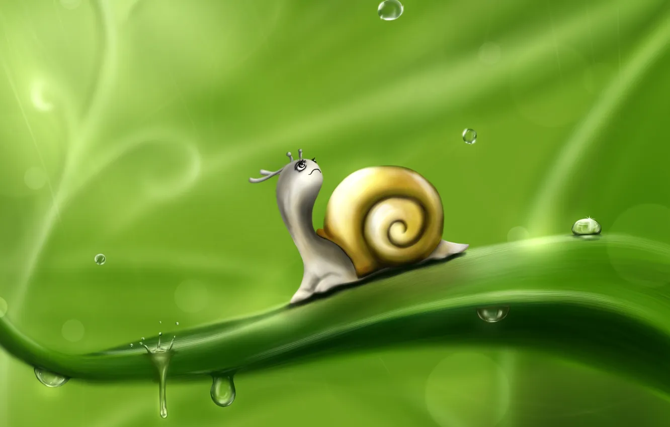 Photo wallpaper greens, leaves, drops, Rosa, figure, snail