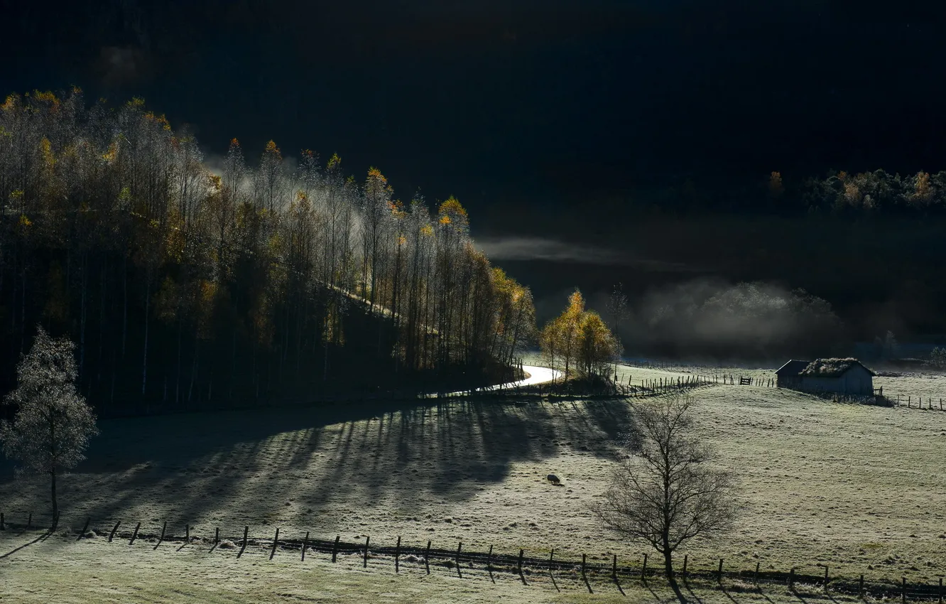 Photo wallpaper road, field, landscape, the fence, morning
