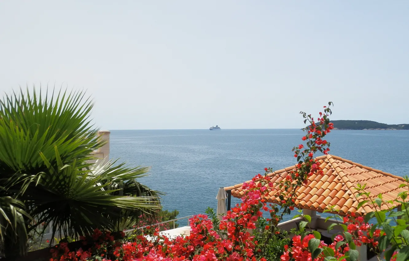 Photo wallpaper sea, flowers, blue, coast, Dubrovnik, Dubrovnik