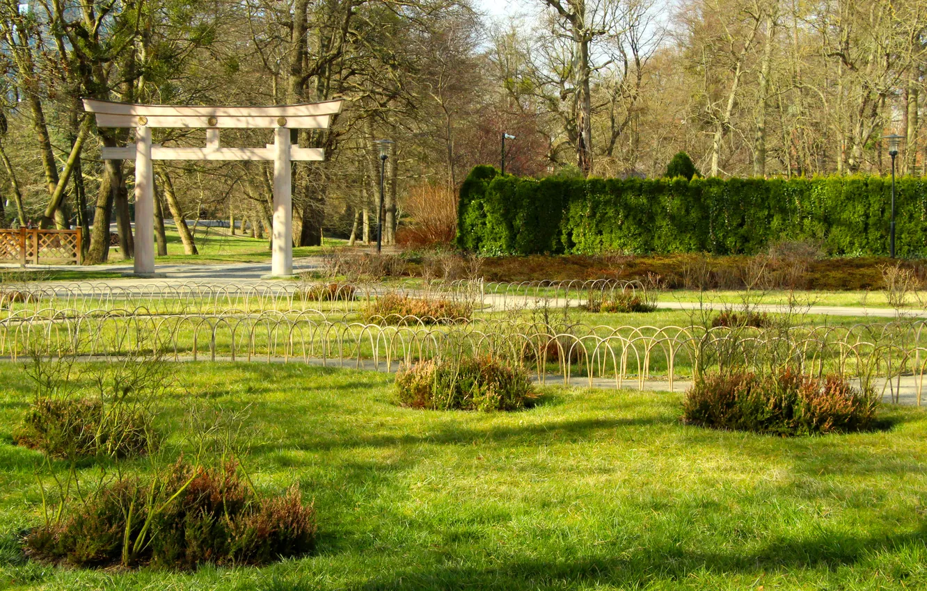 Photo wallpaper grass, park, garden