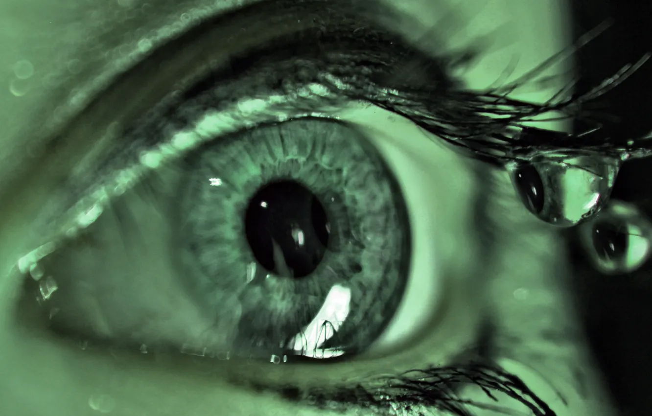 Photo wallpaper eyes, eyelashes, the pupil, tears, closeup