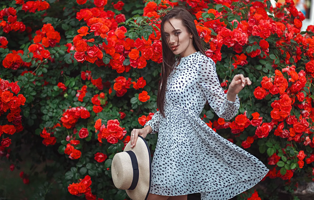 Photo wallpaper flowers, model, Bush, roses, hat, Gregory Levin