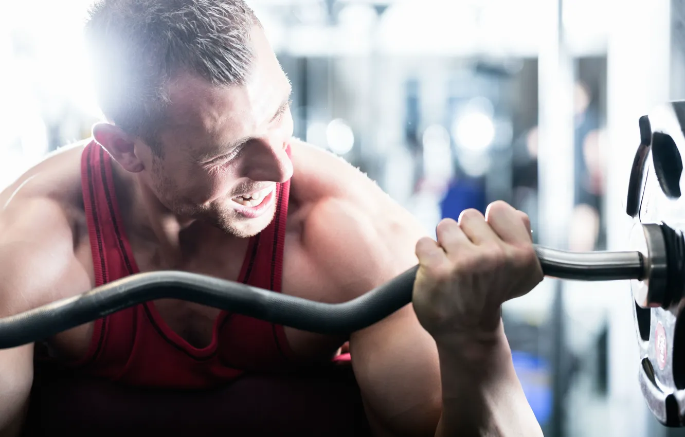 Photo wallpaper strength, gym, biceps