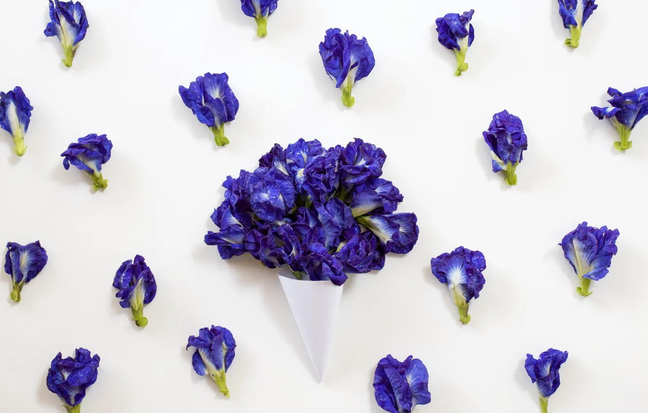 Photo wallpaper flowers, background, petals, iris