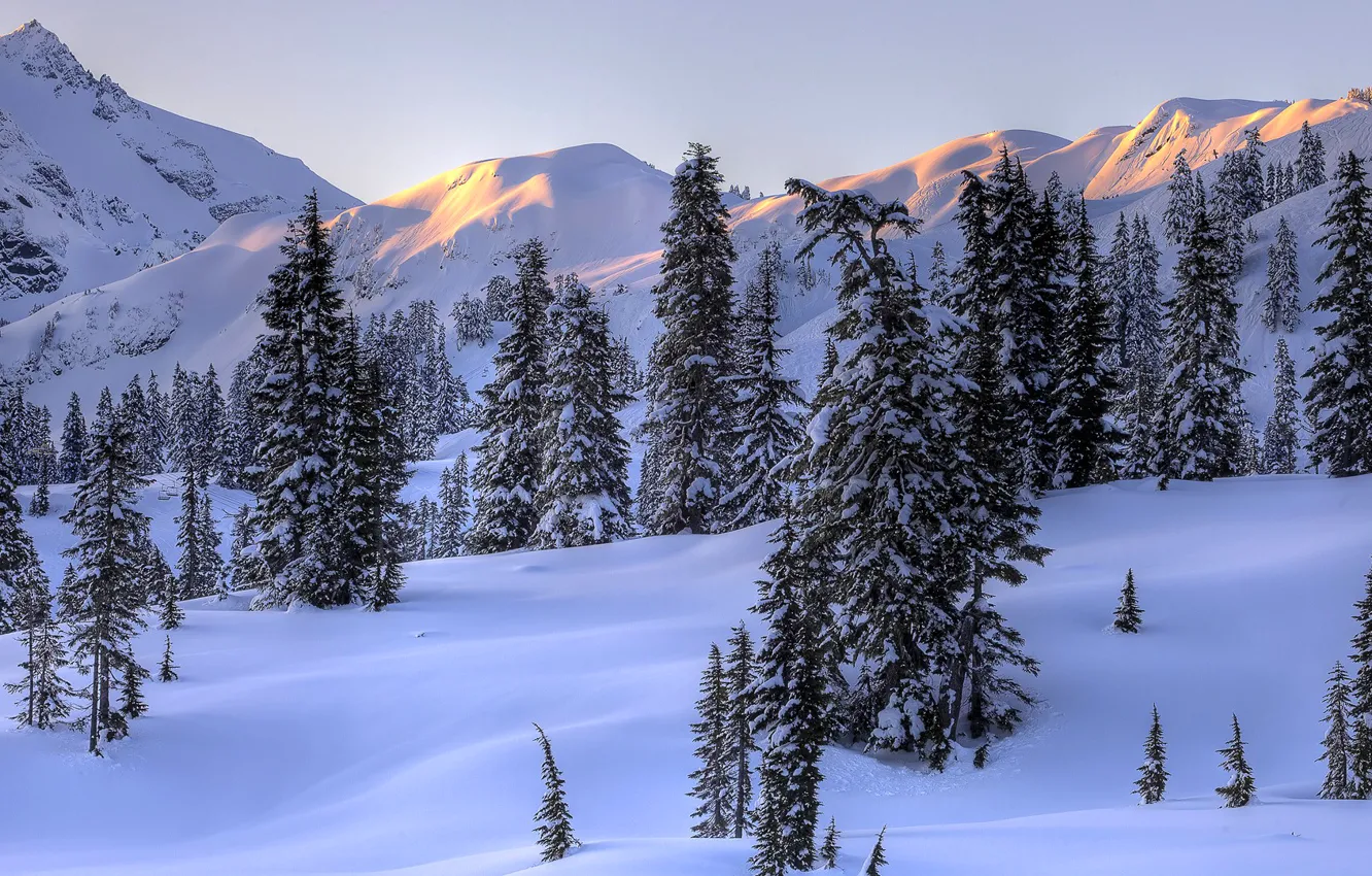Photo wallpaper winter, the sky, snow, trees, landscape, mountains, spruce, slope