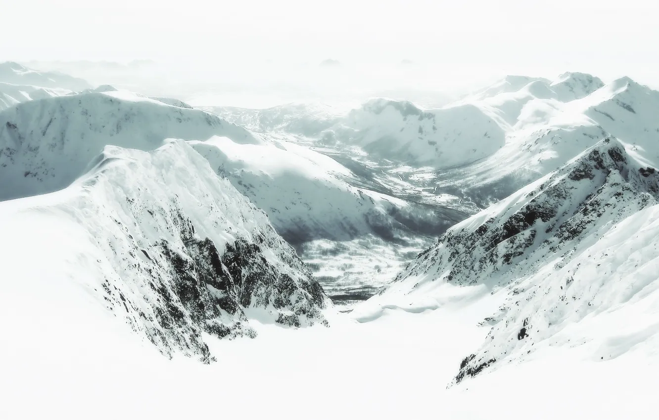 Photo wallpaper background, picture, Wallpaper