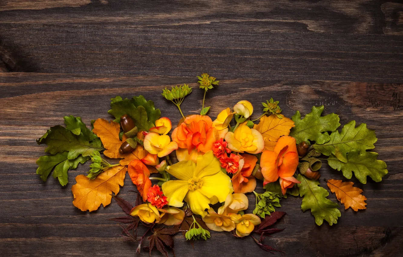 Photo wallpaper autumn, leaves, flowers, wood, flowers, autumn, leaves, composition