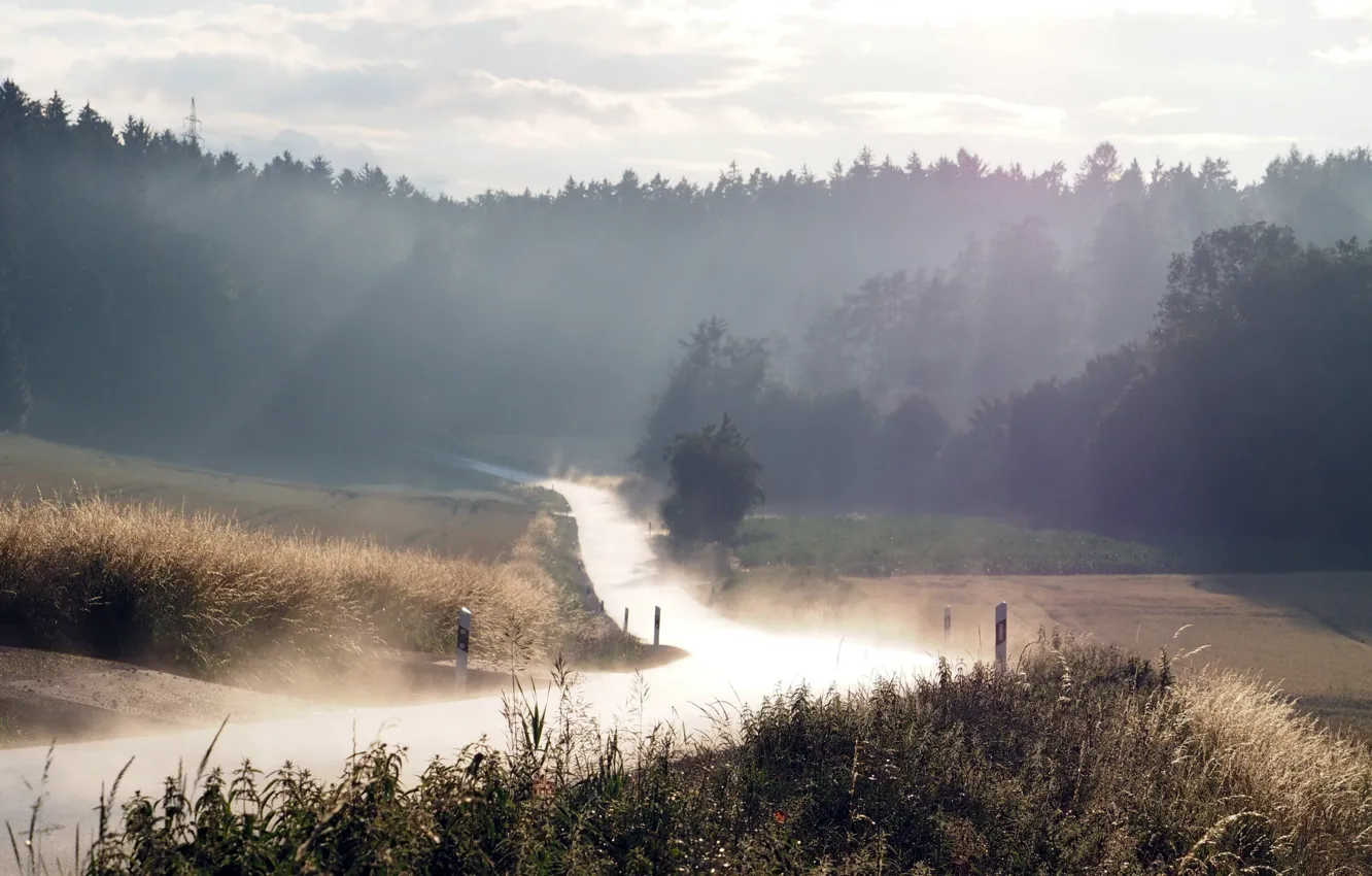 Photo wallpaper road, summer, nature, fog, morning