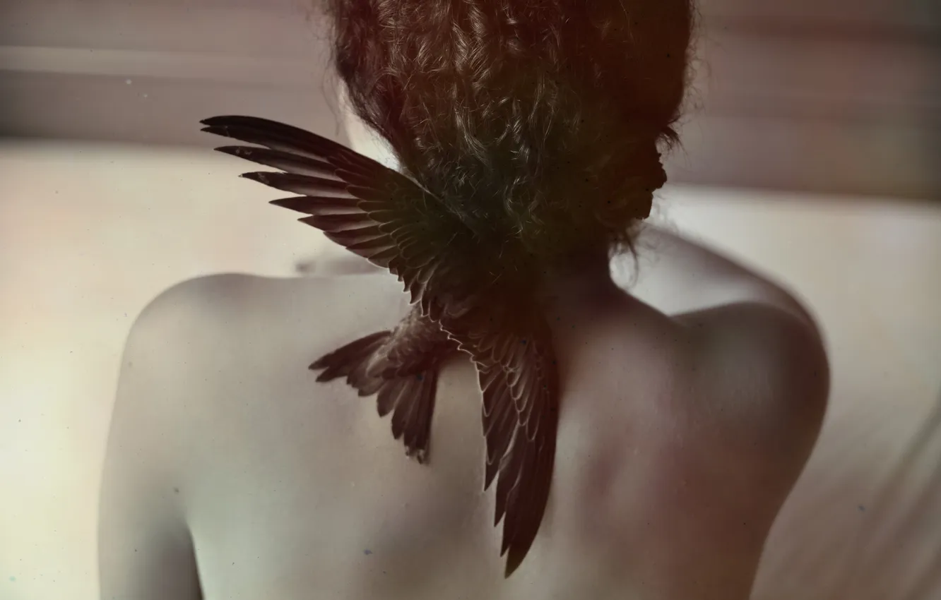 Photo wallpaper girl, bird, back, curls