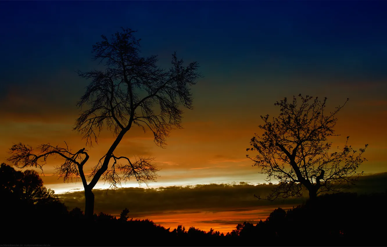 Photo wallpaper the sky, trees, landscape, sunset, nature, the evening