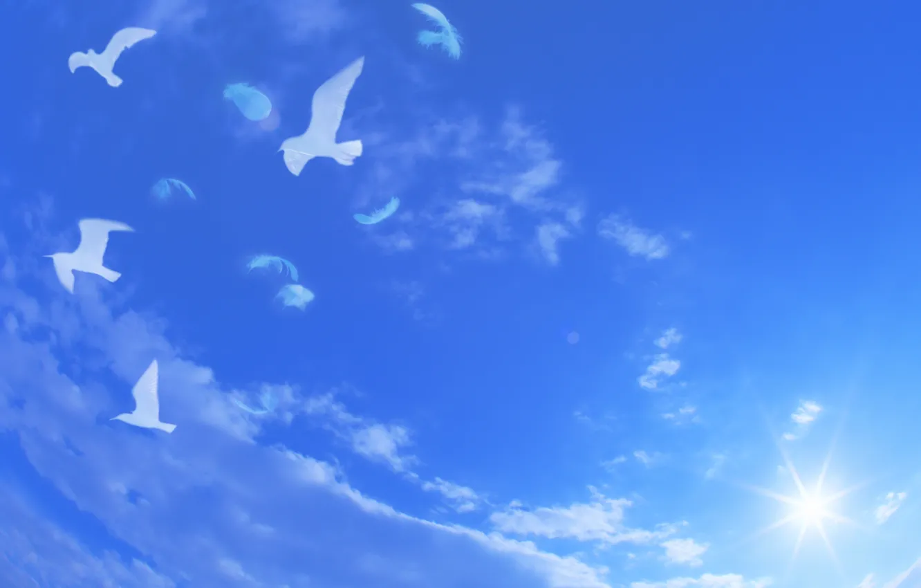 Photo wallpaper the sky, clouds, flight, landscape, blue, feathers, pigeons, white