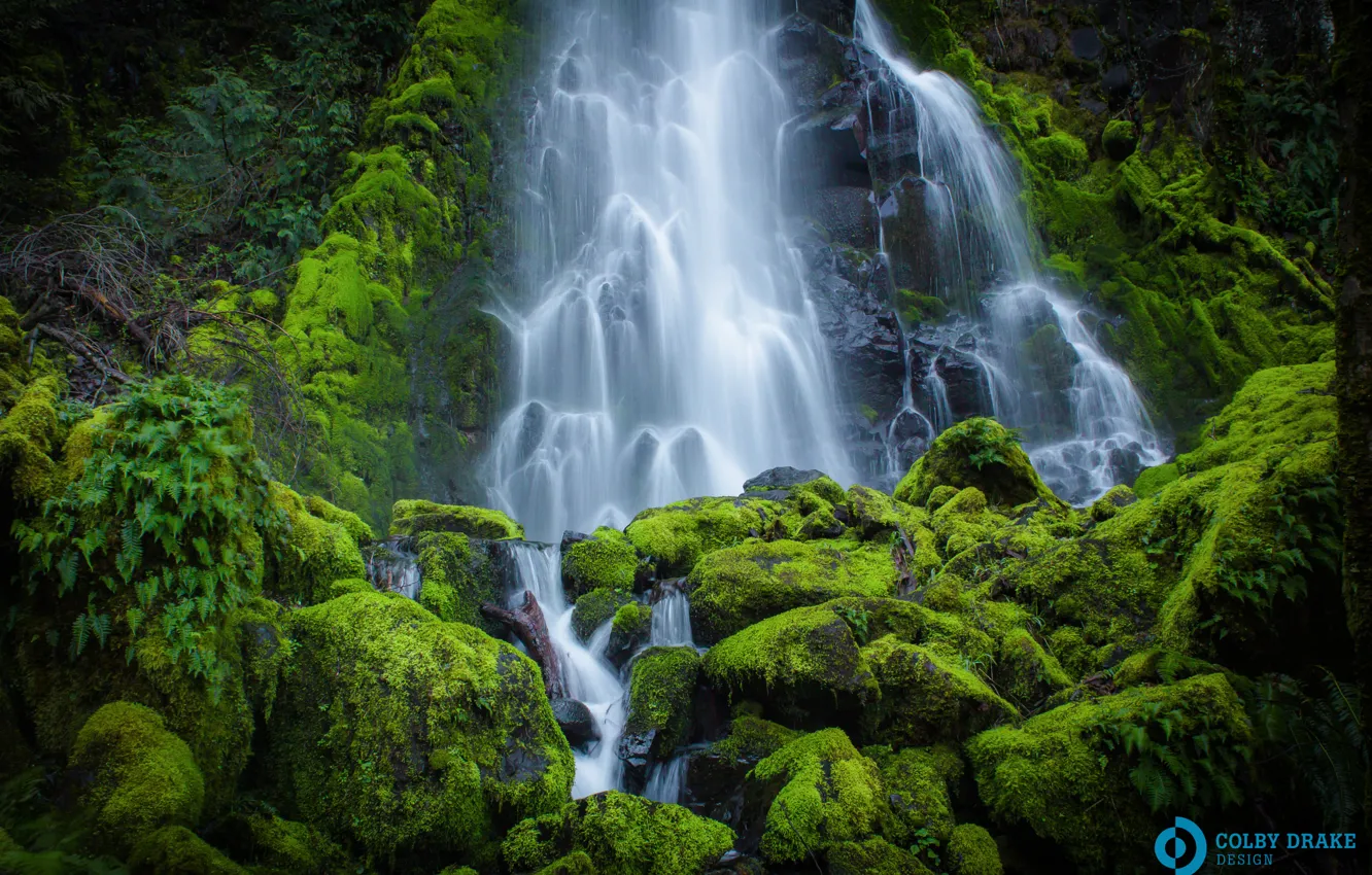Photo wallpaper greens, stones, waterfall, moss, stream, The Columbia River