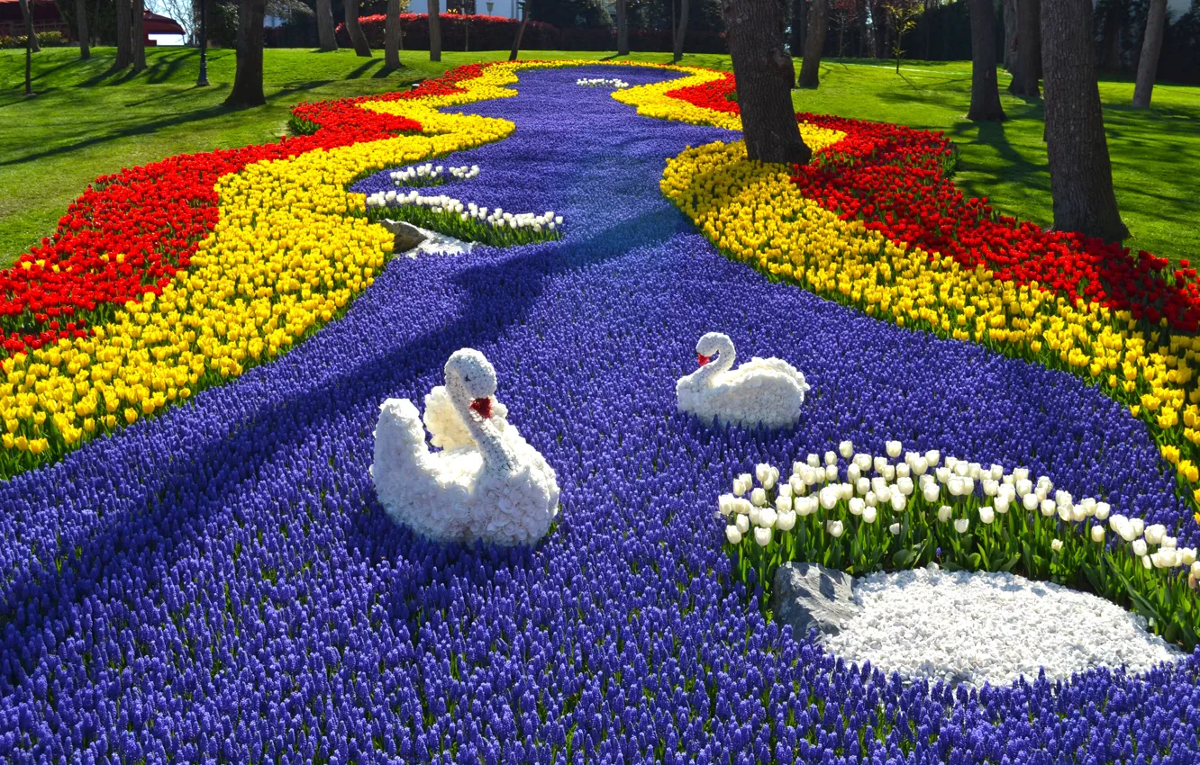 Photo wallpaper yellow, shadow, red, shore, bird, flowers, Park, lawn