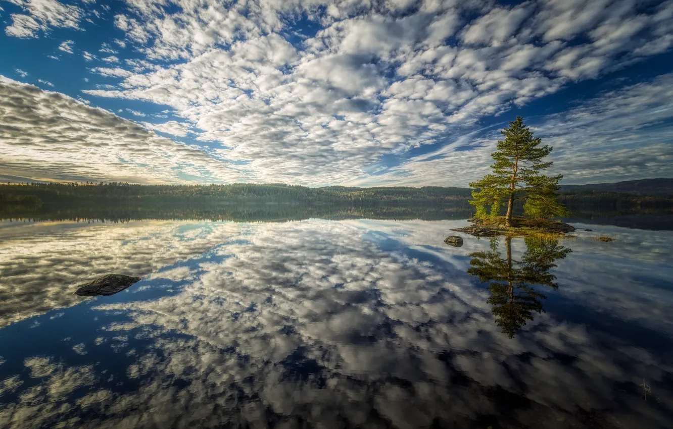 Photo wallpaper the sky, water, clouds, reflection, tree, Bay, island, pine