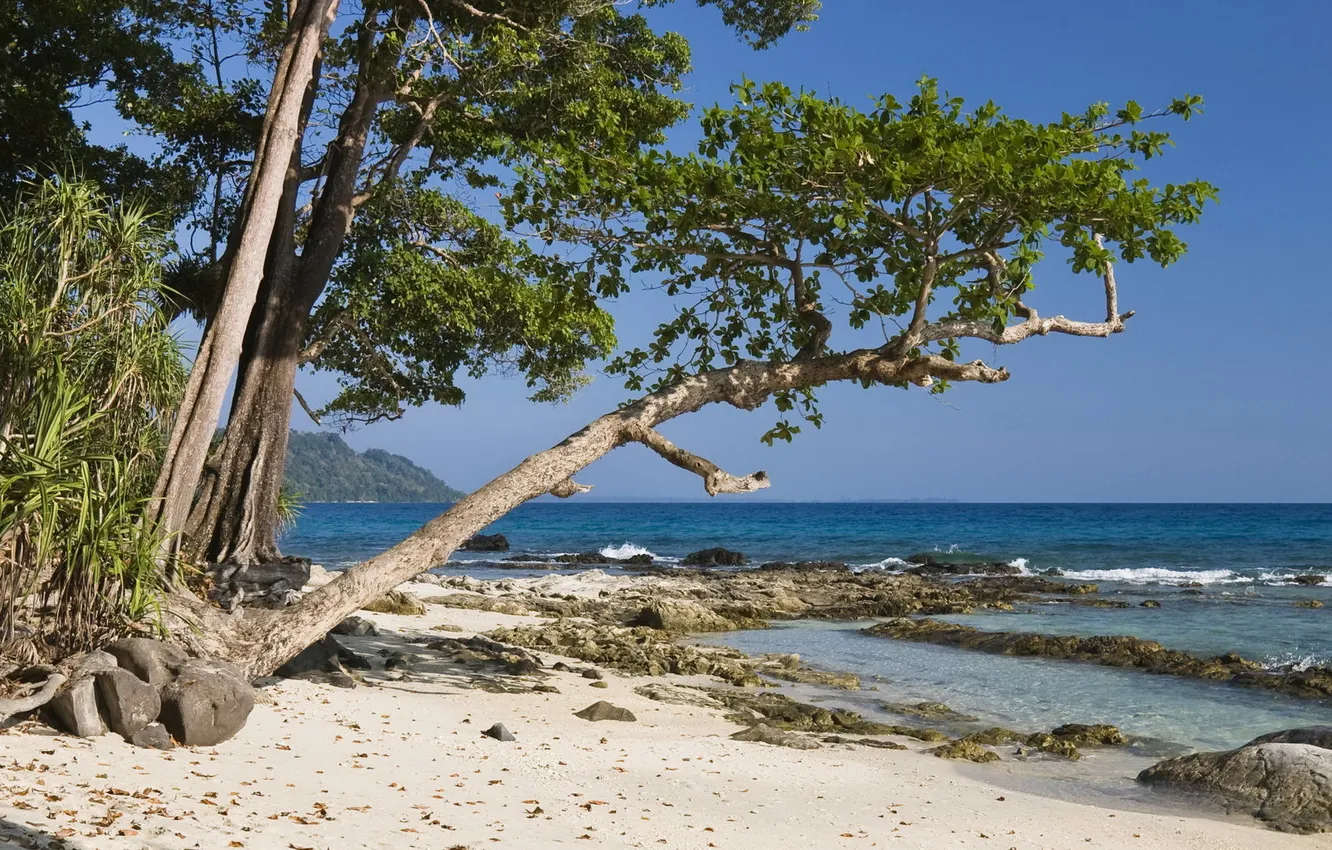 Photo wallpaper sand, trees, mountains, the ocean, coast, horizon, reef