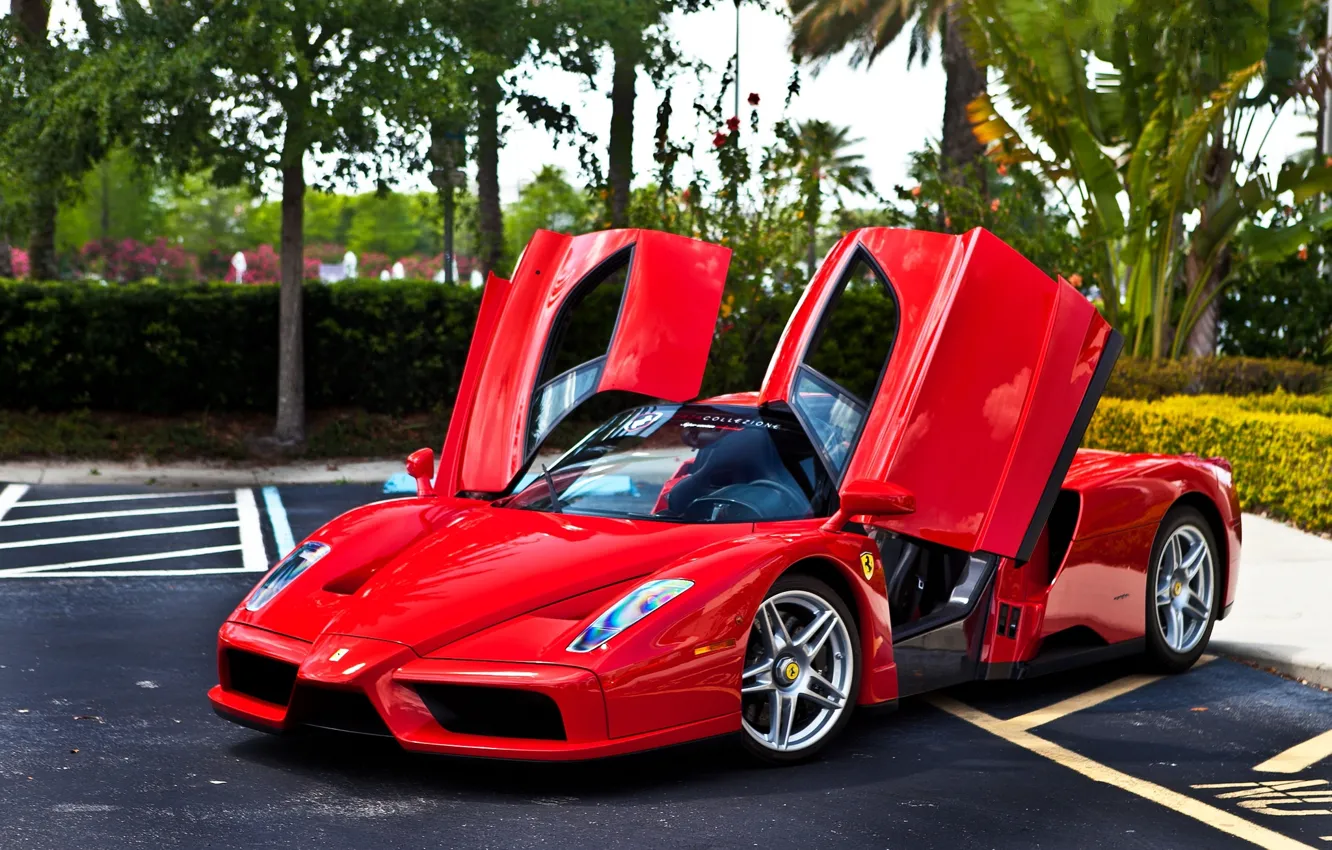 Photo wallpaper trees, red, Parking, red, ferrari, Ferrari, front view, trees