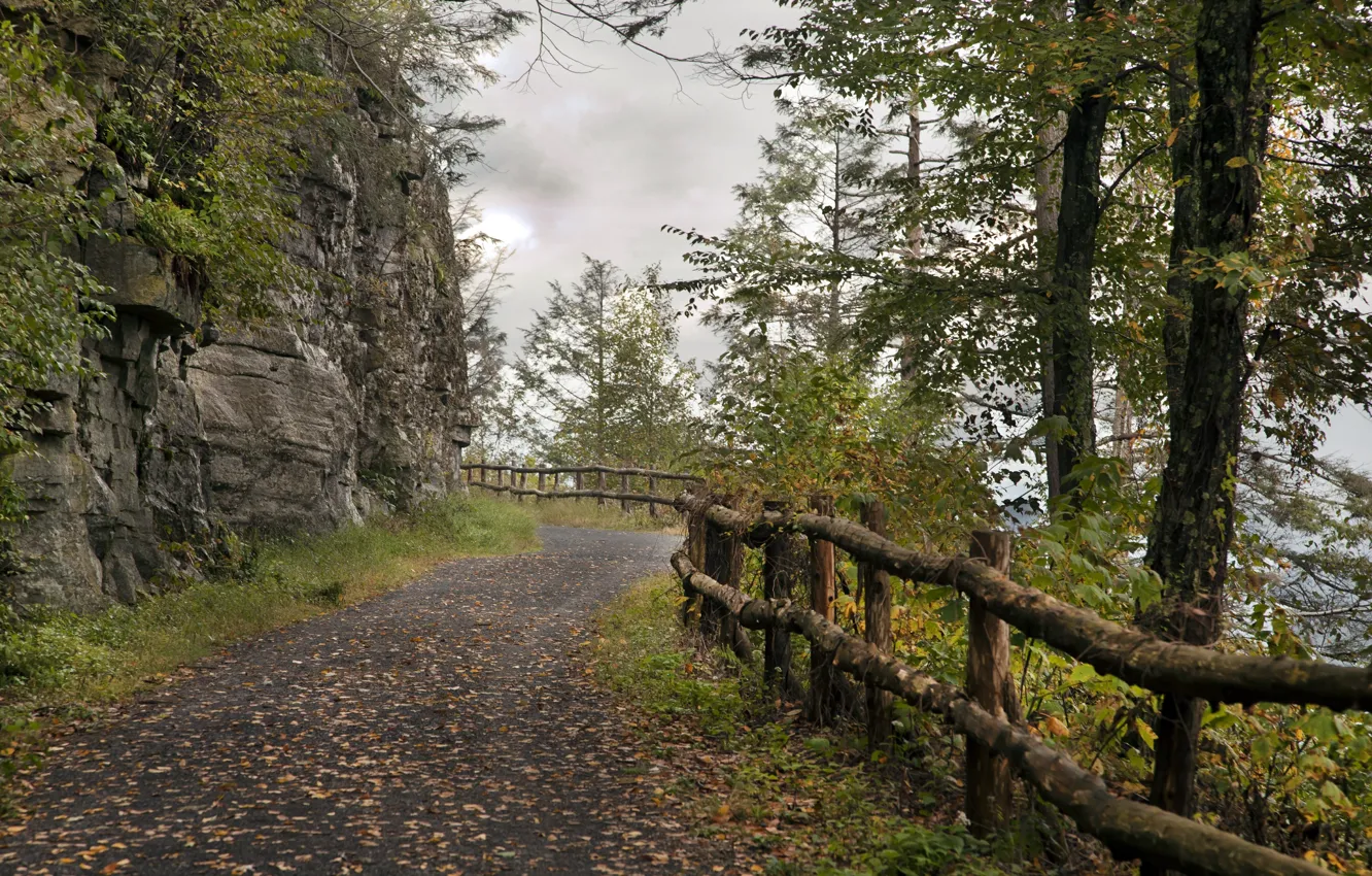 Photo wallpaper road, autumn, overcast, rocks, foliage, Nature, road, autumn