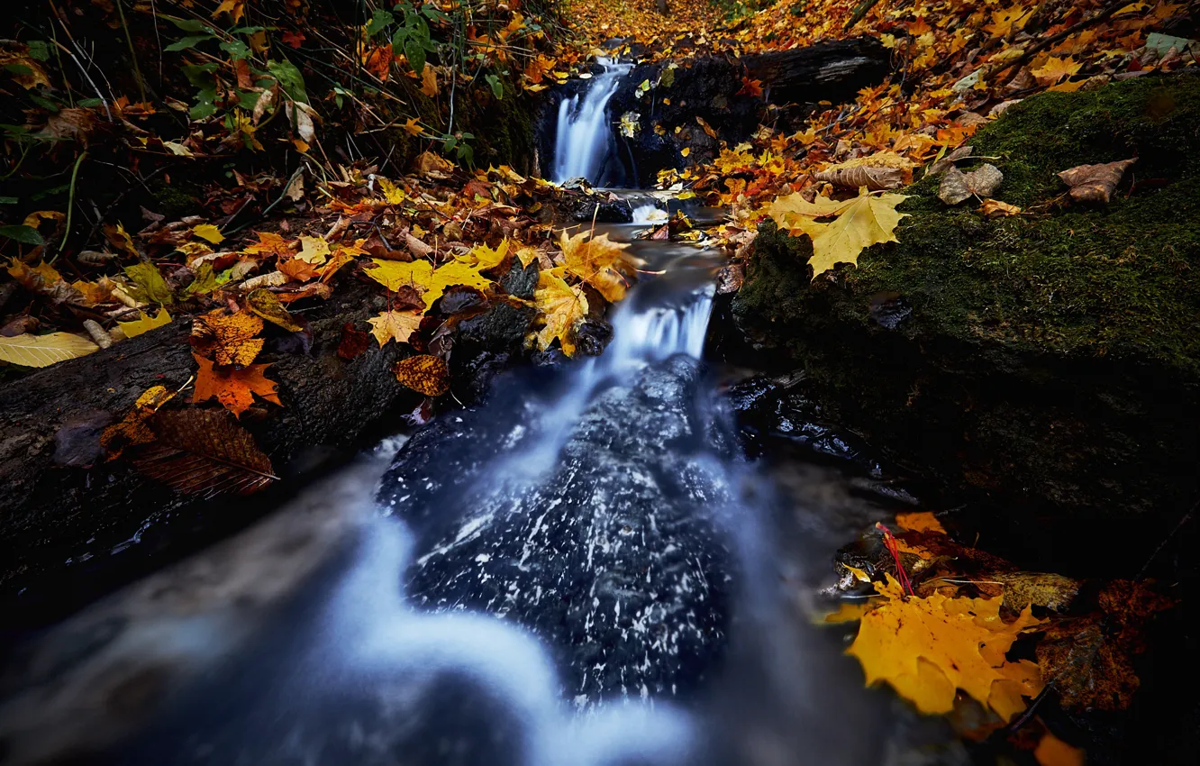 Photo wallpaper autumn, leaves, stream, stones, waterfall, Russia, Tula oblast, The Waterfall Is Loud