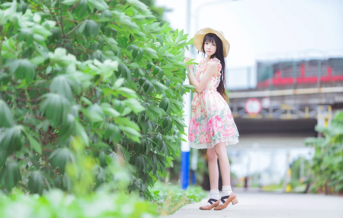 Photo wallpaper hat, woman, beautiful, model, pretty, asian, outdoor, Long Shot
