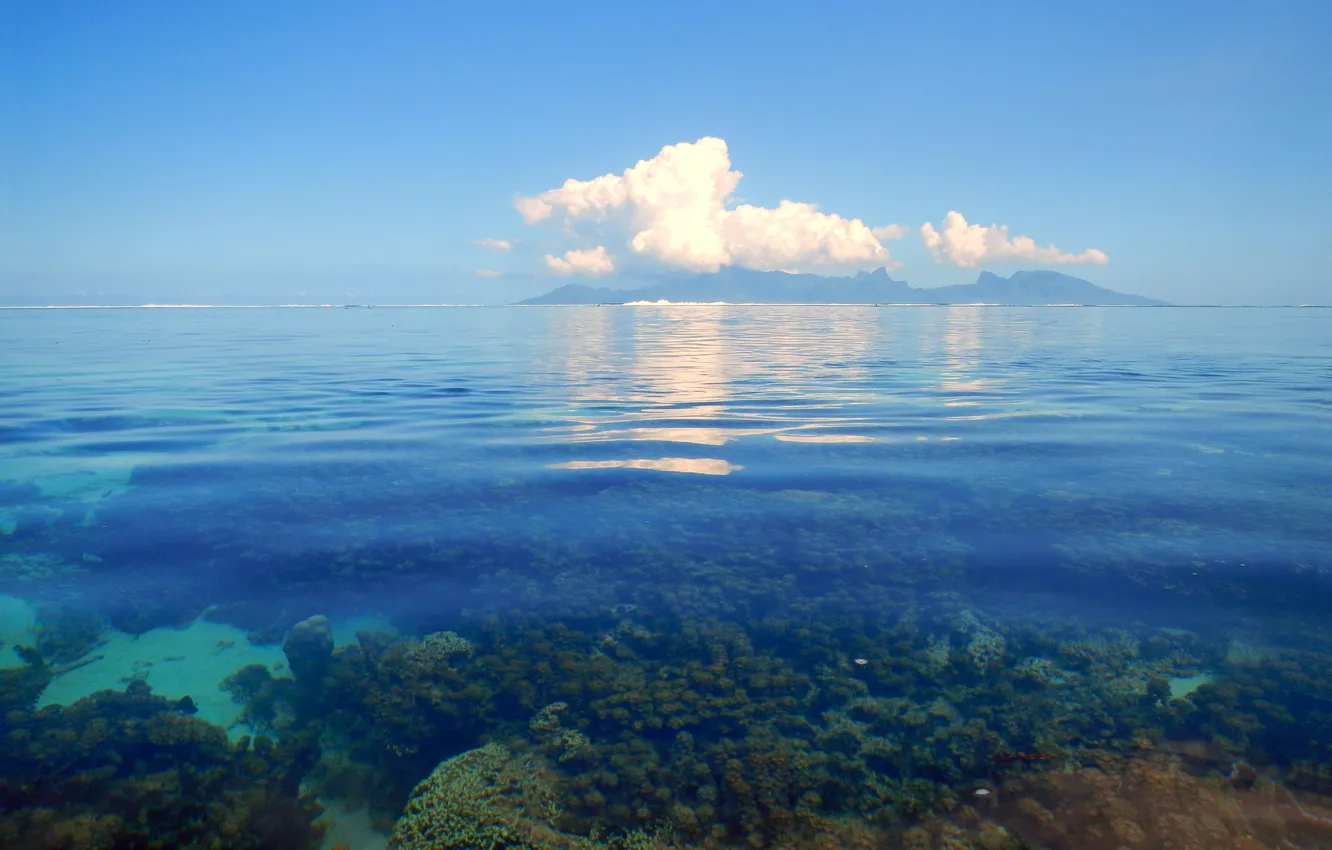 Photo wallpaper sea, clouds, corals, horizon