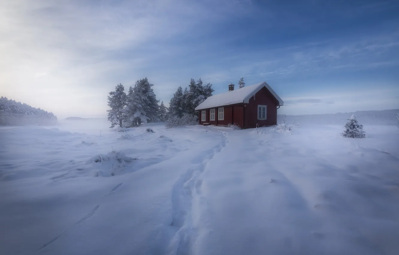 Photo wallpaper winter, snow, trees, Norway, house