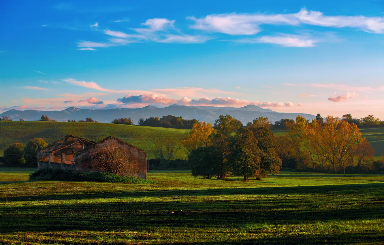 Photo wallpaper field, autumn, the sky, clouds, trees, nature, hills, ruins