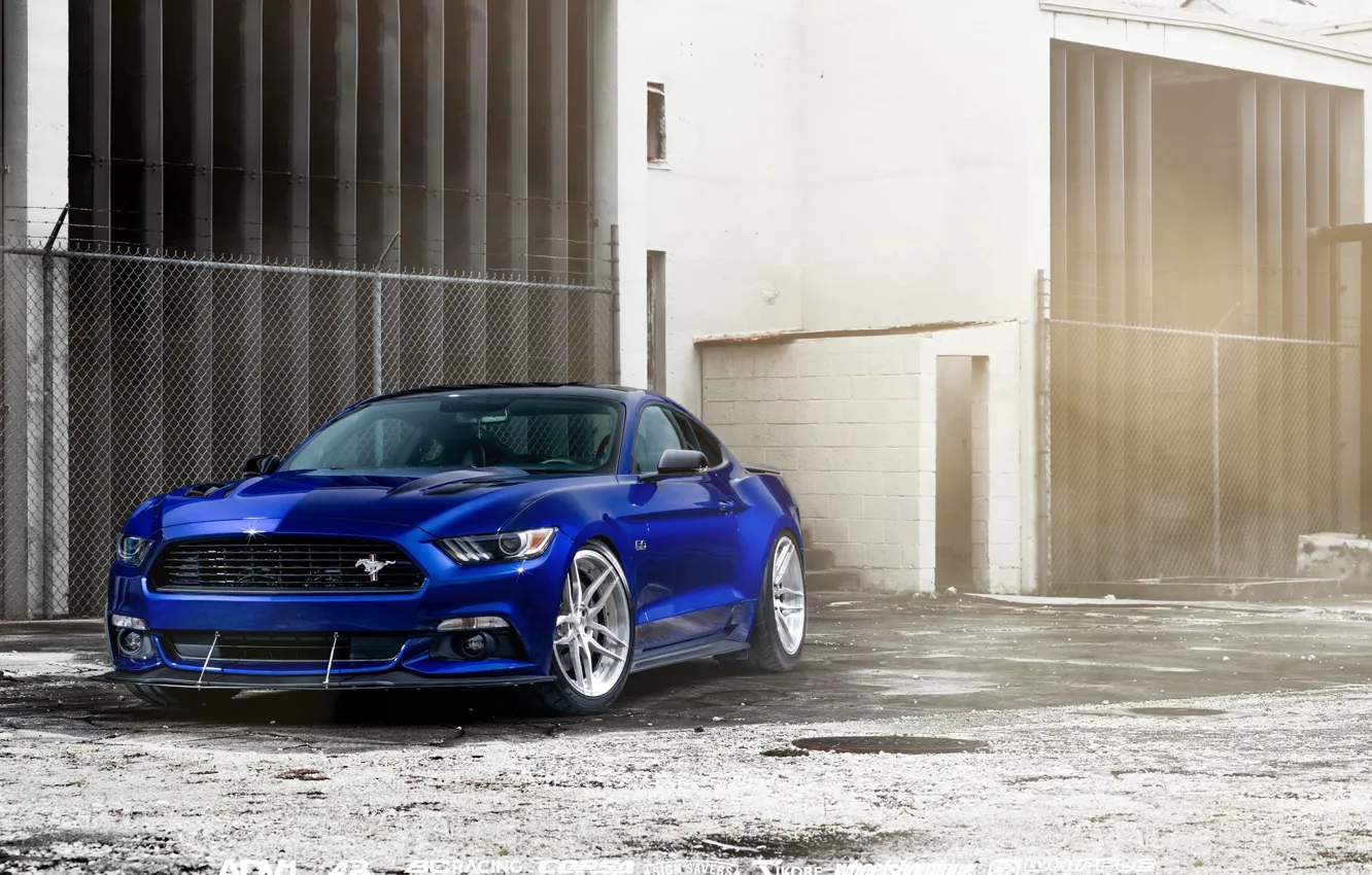 Photo wallpaper car, Ford Mustang, blue, William Stern