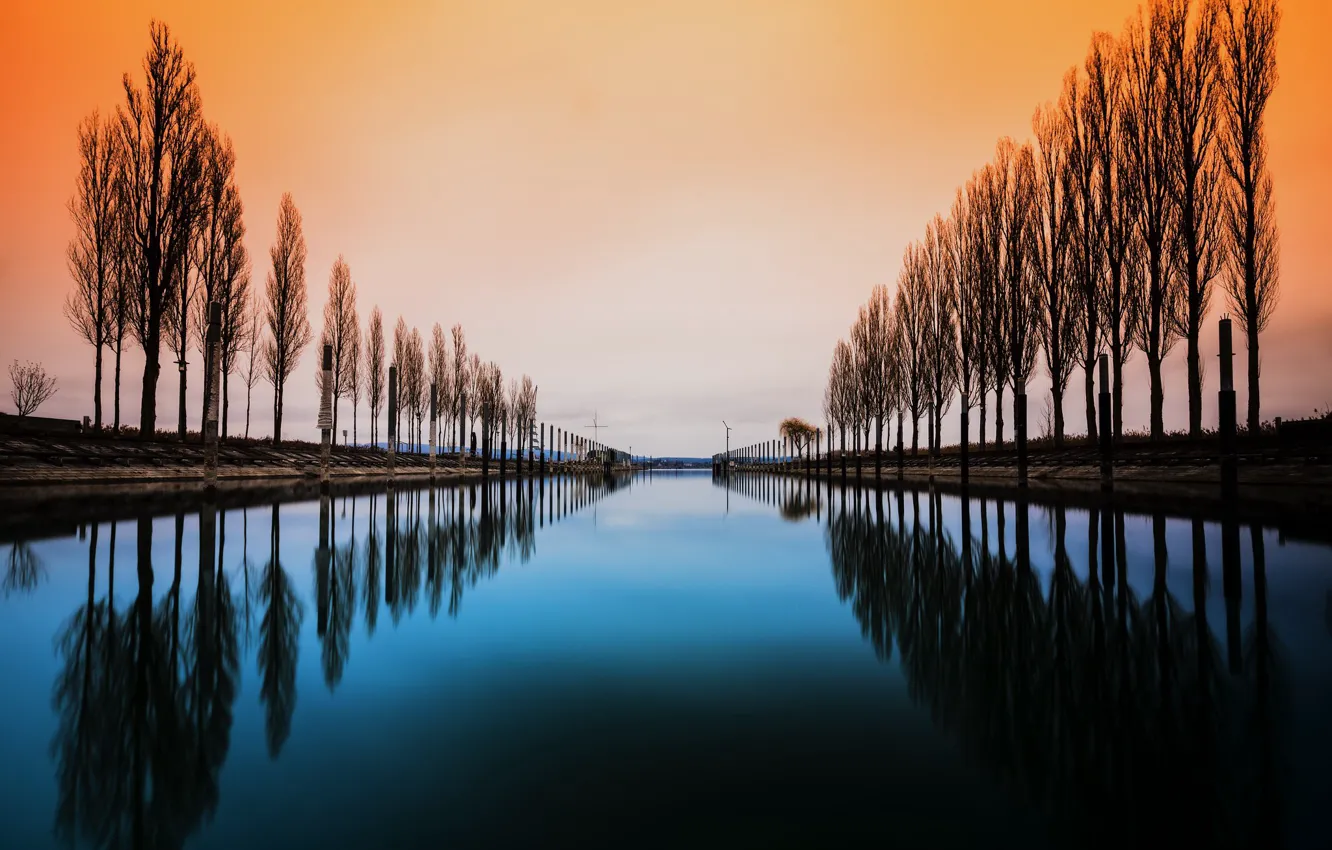 Photo wallpaper trees, water, lake constance