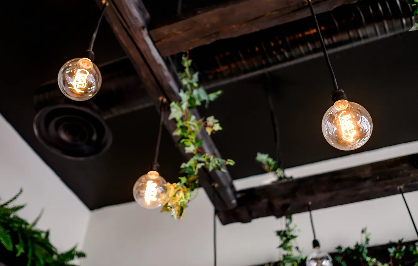 Photo wallpaper plant, lamp, interior, the ceiling