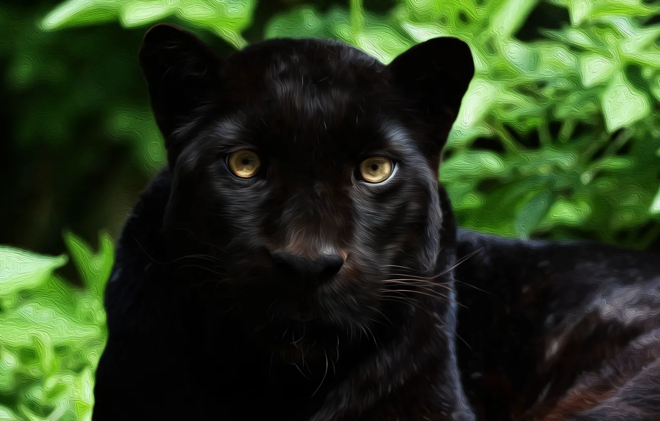 Photo wallpaper face, predator, Jaguar, wild