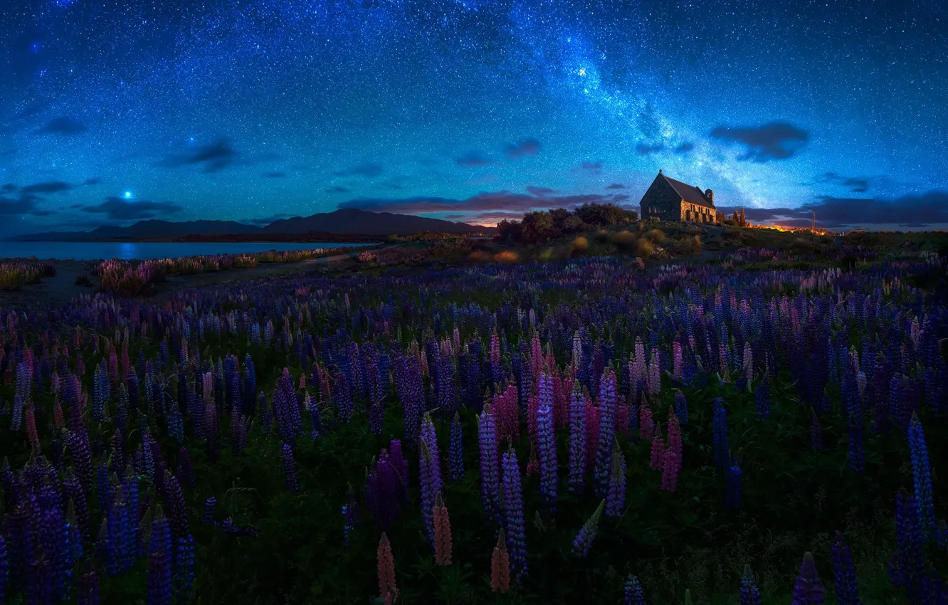Photo wallpaper summer, the sky, flowers, night, spring, New Zealand, Church, temple