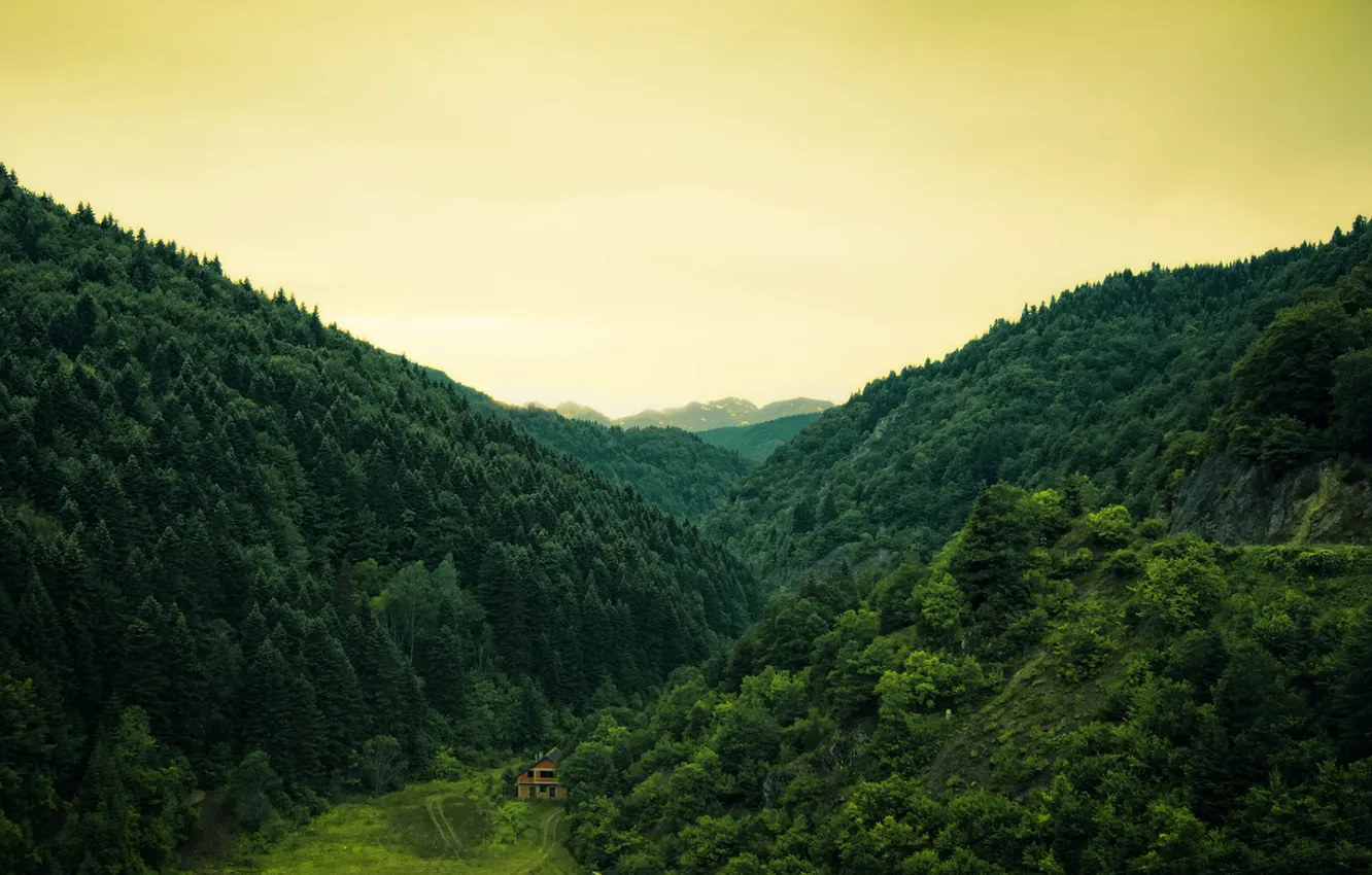 Photo wallpaper forest, trees, nature, hills, house