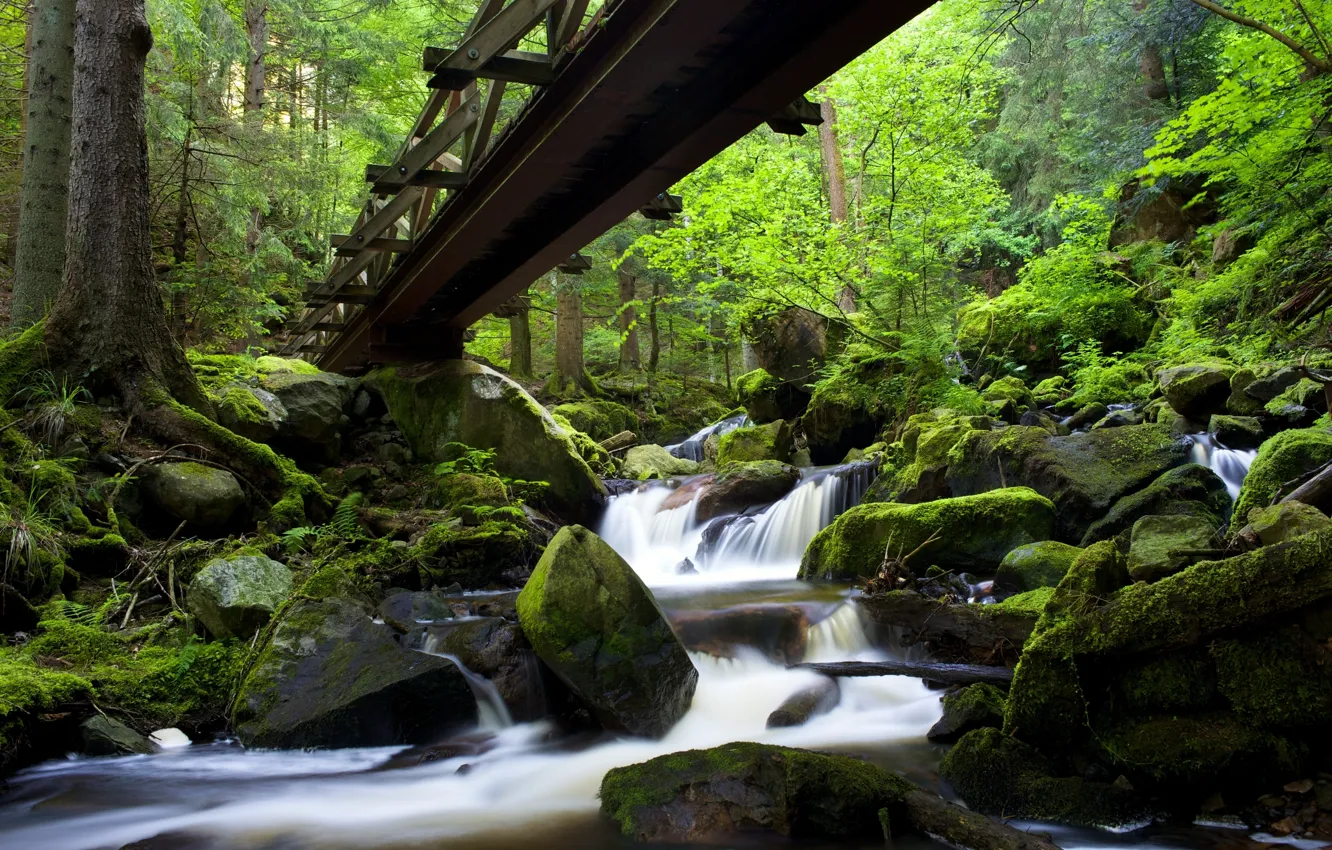 Photo wallpaper forest, bridge, river, stones, Germany, cascade, Germany, Baden-Württemberg