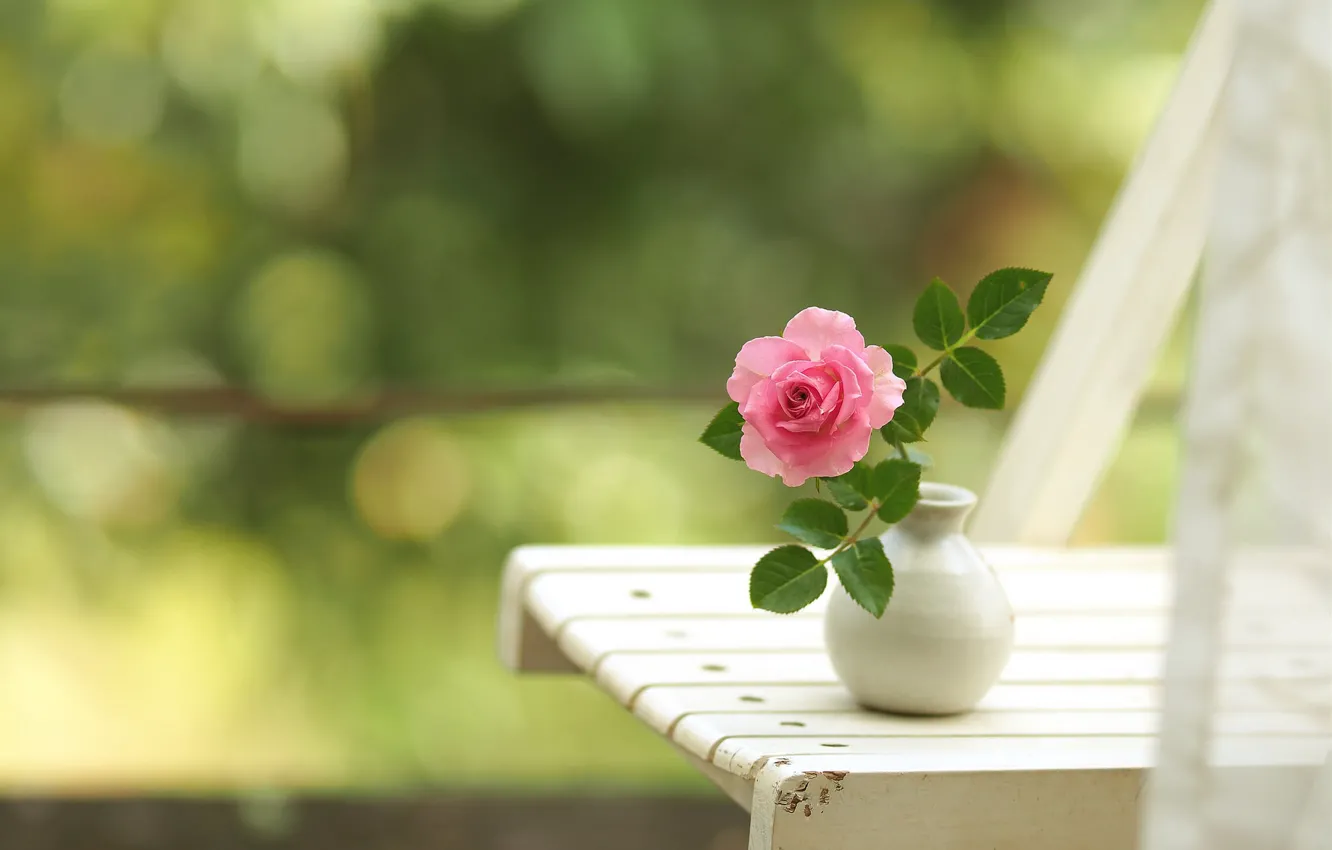 Photo wallpaper roses, chair, bokeh, vase