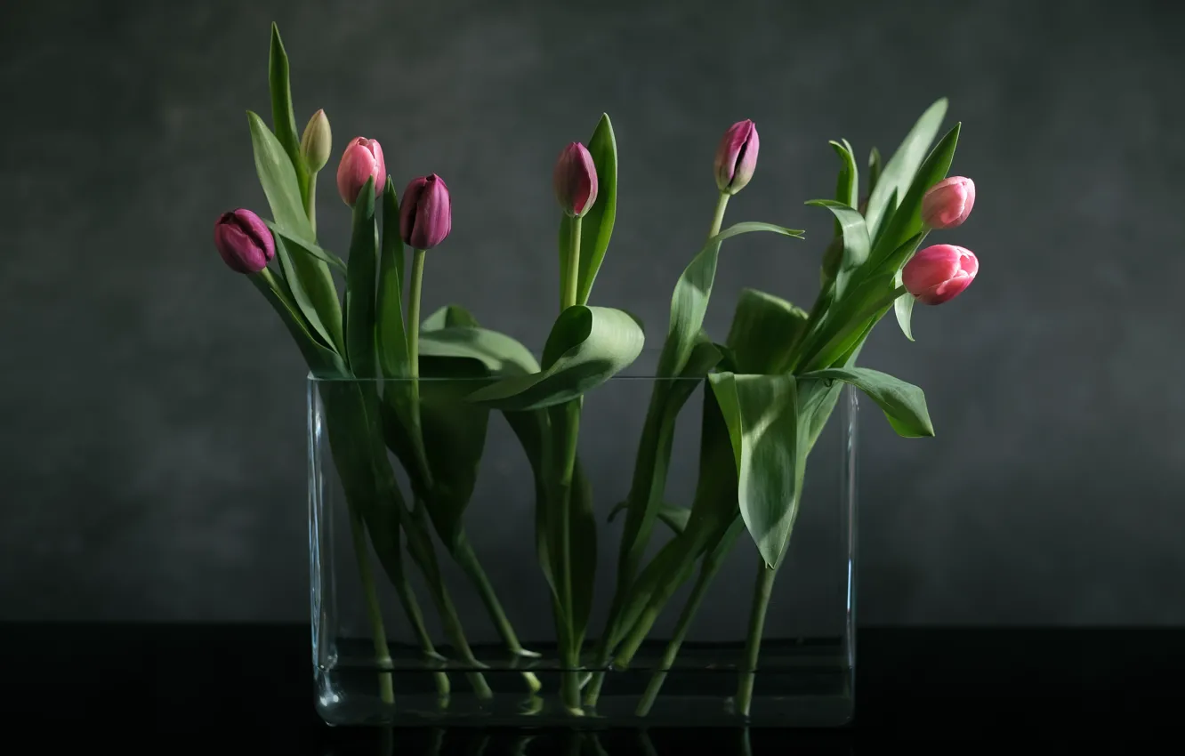 Photo wallpaper background, tulips, vase, buds