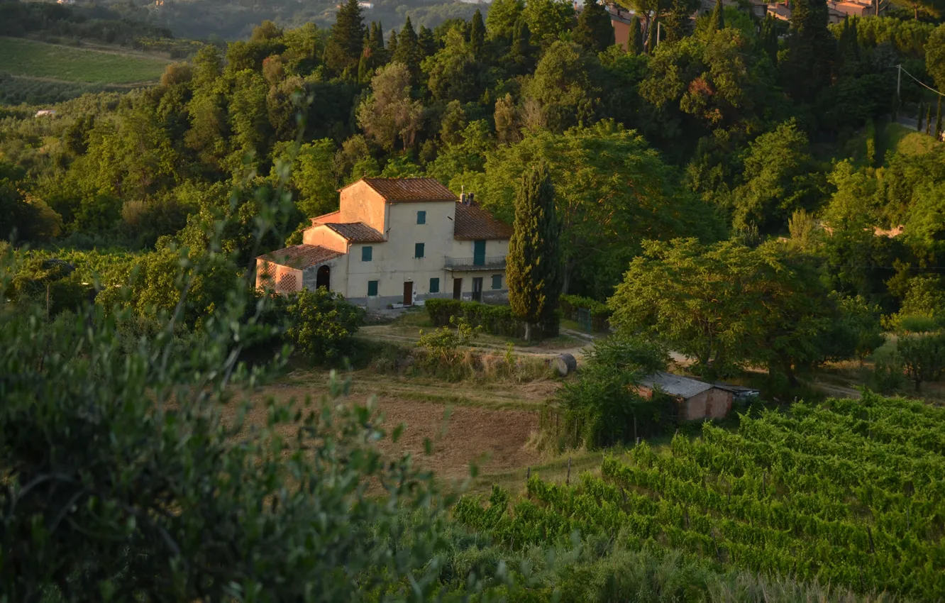 Photo wallpaper Panorama, House, Italy, Nature, Landscape, Italy, Tuscany, Italia